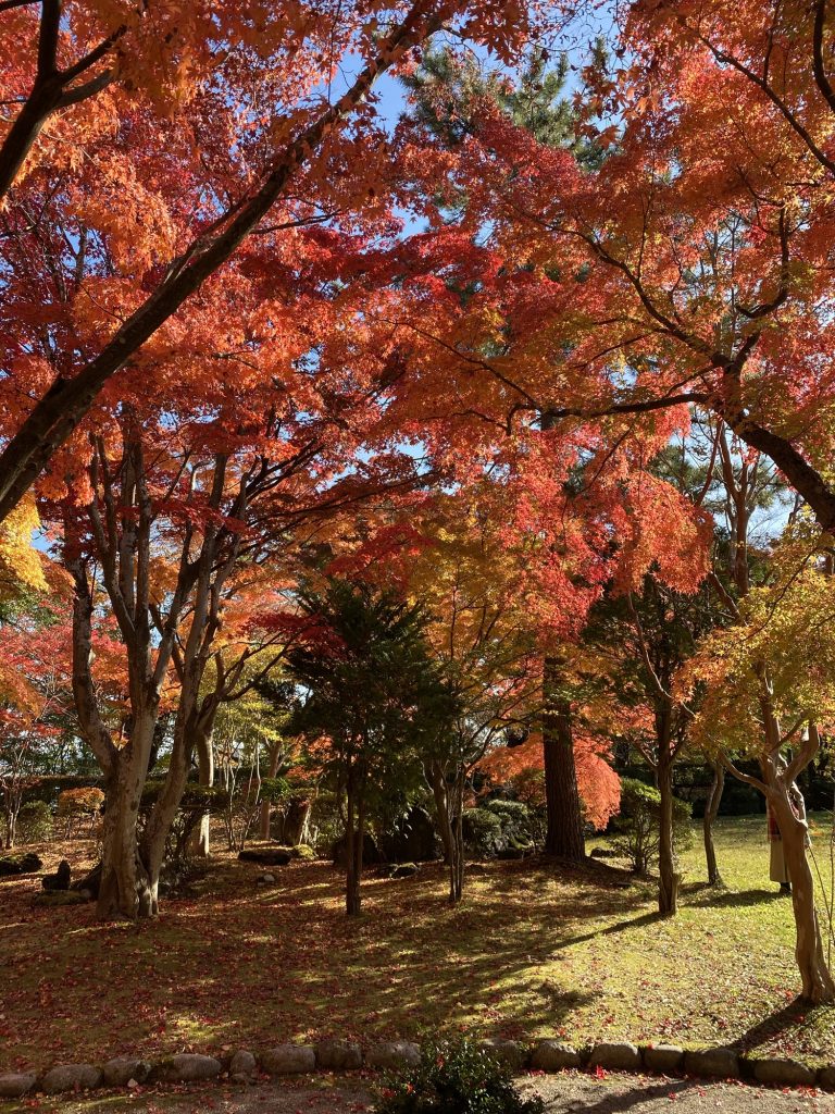 230.陽気に誘われて